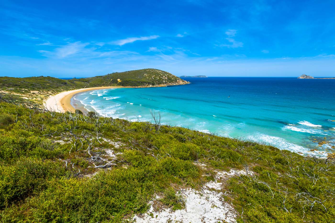 Squeaky beach wilsons prom (1)