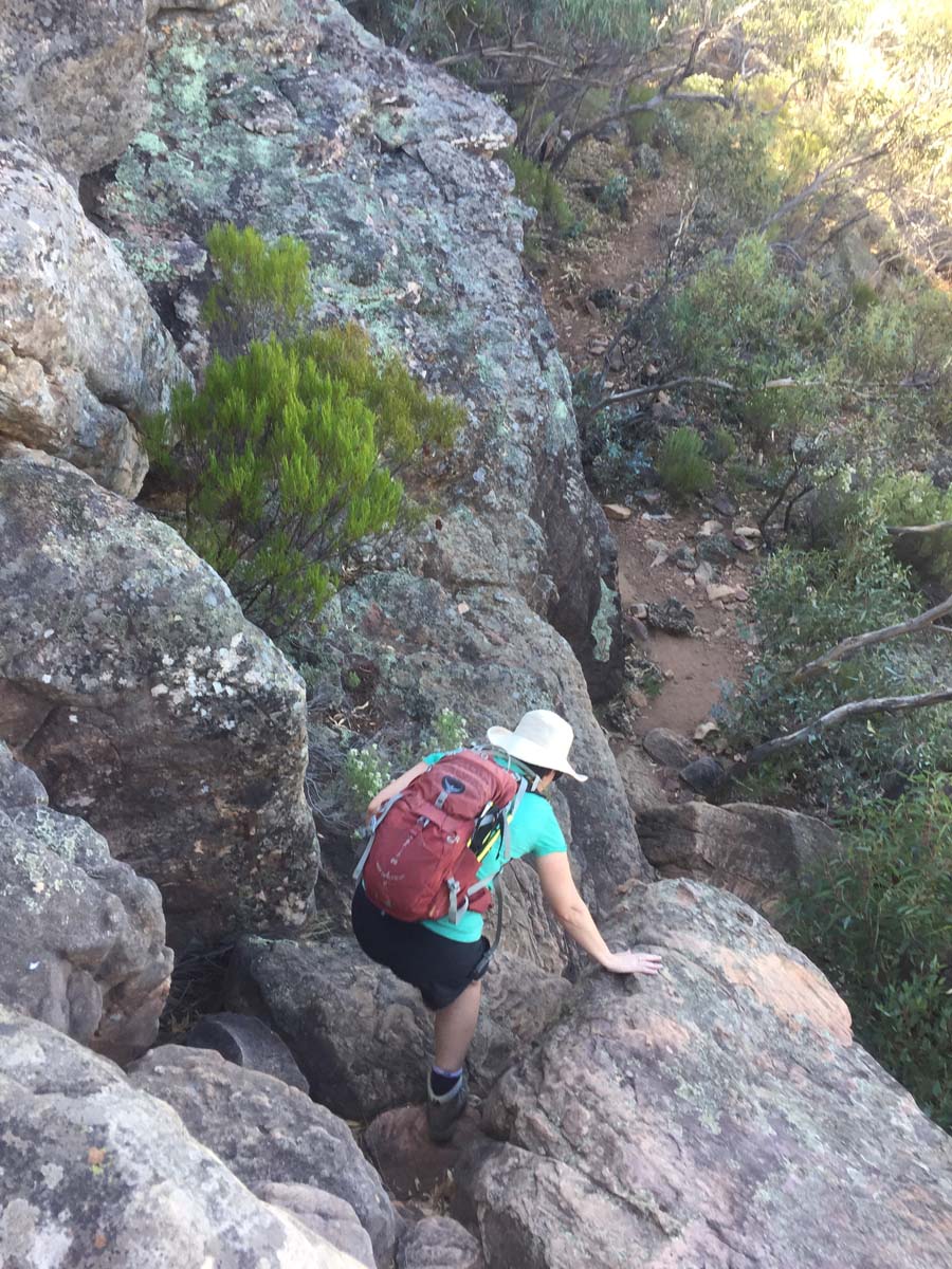 St mary peak circuit hike wilpena pound 33