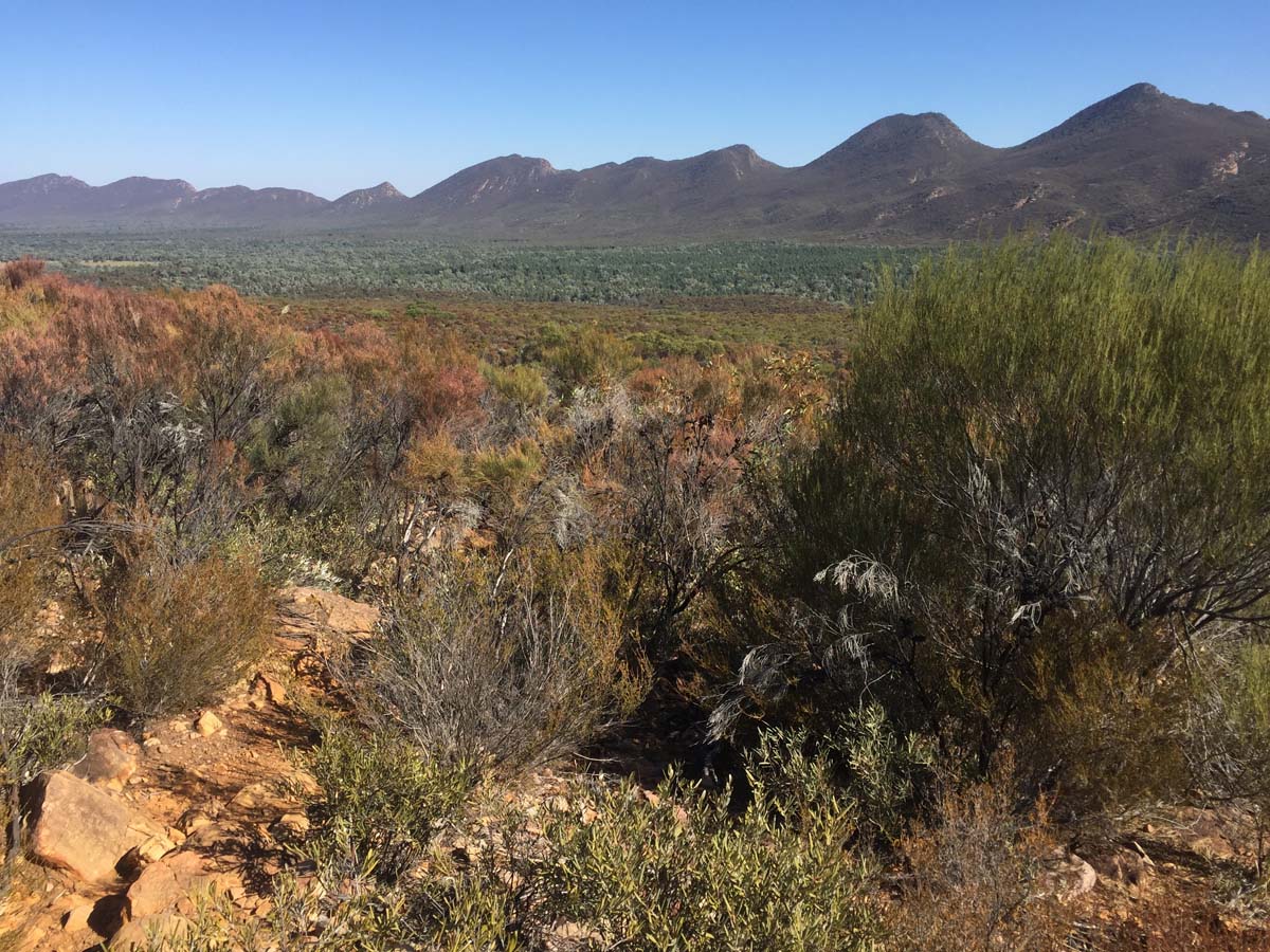 St mary peak circuit hike wilpena pound 38
