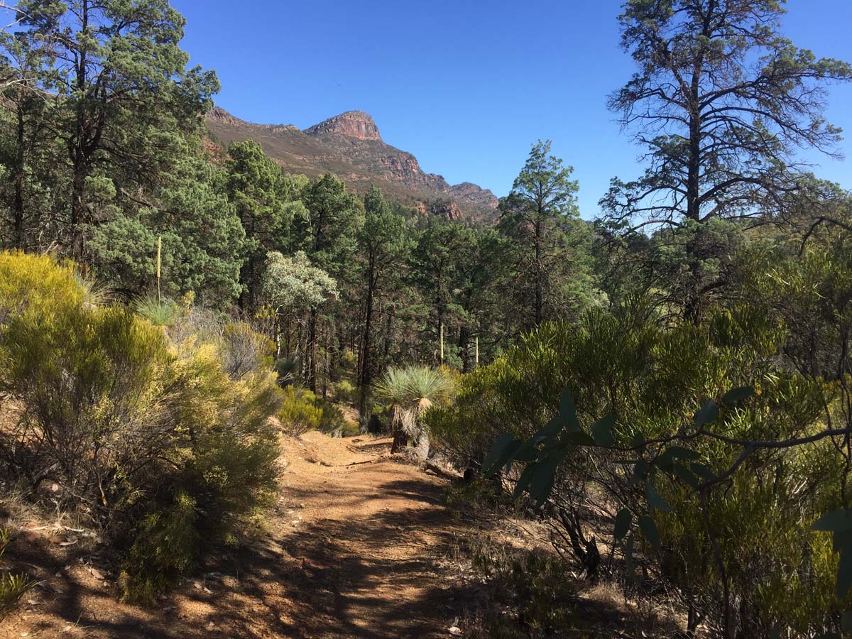 St mary peak circuit hike wilpena pound 4