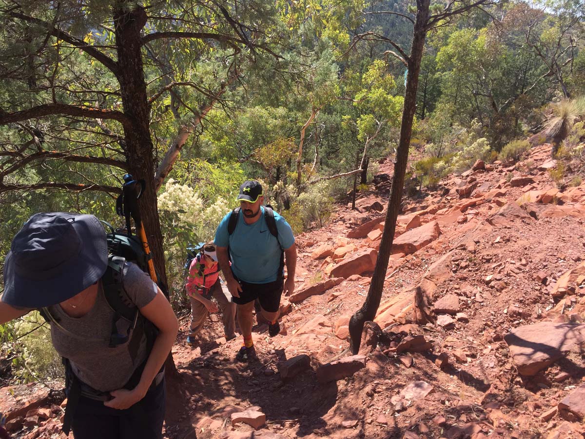 St mary peak circuit hike wilpena pound 5