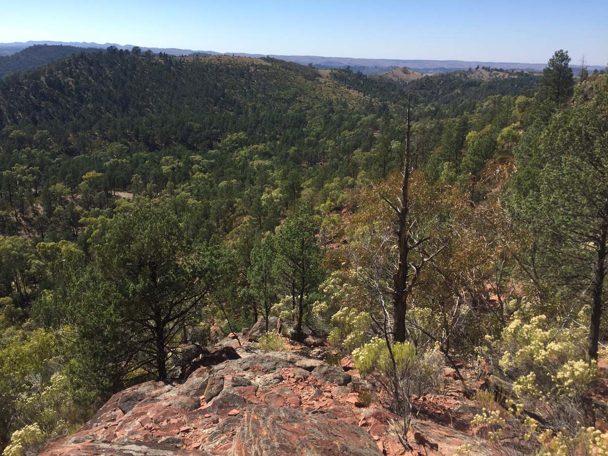 St mary peak circuit hike wilpena pound 6