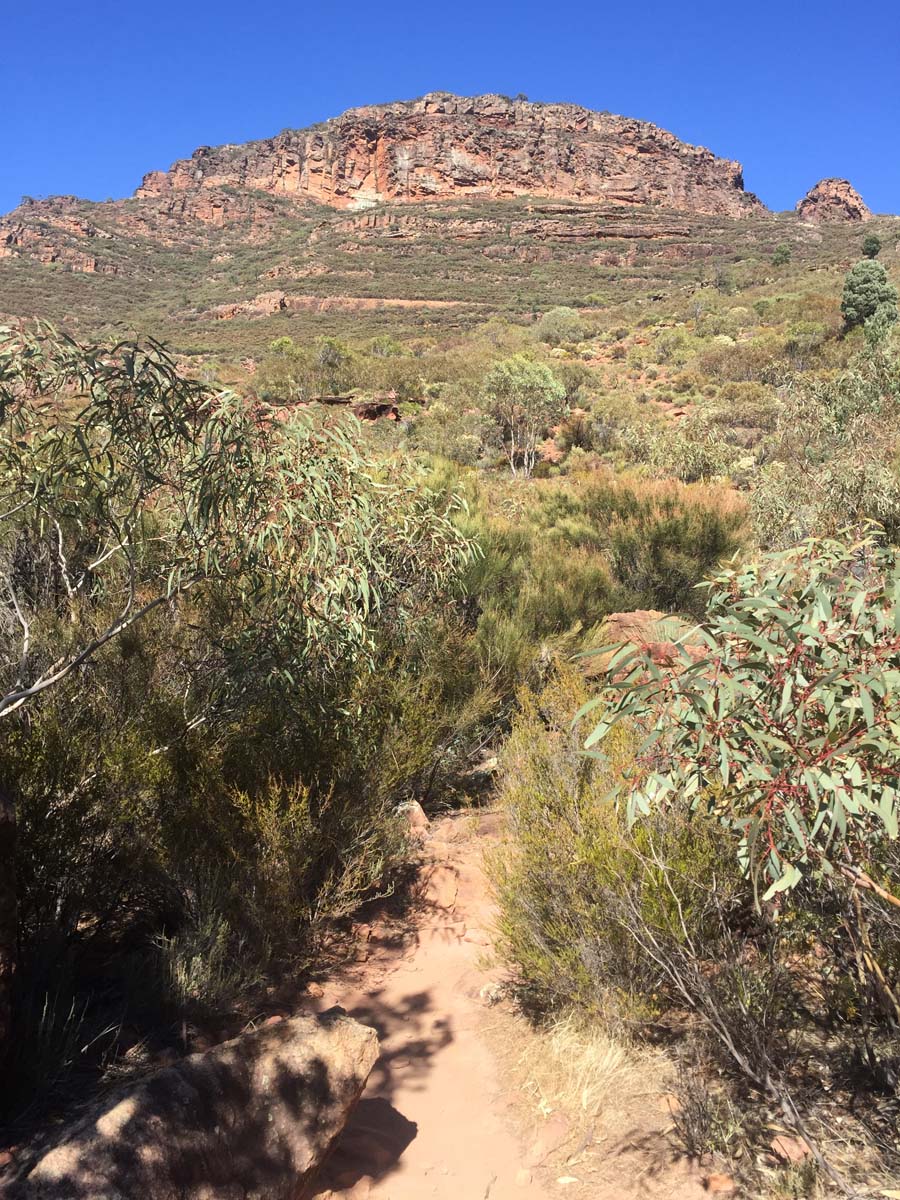 St mary peak circuit hike wilpena pound 7