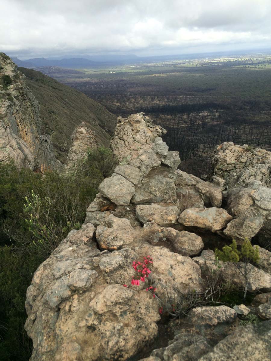 Stapylton ampitheatre hike 42
