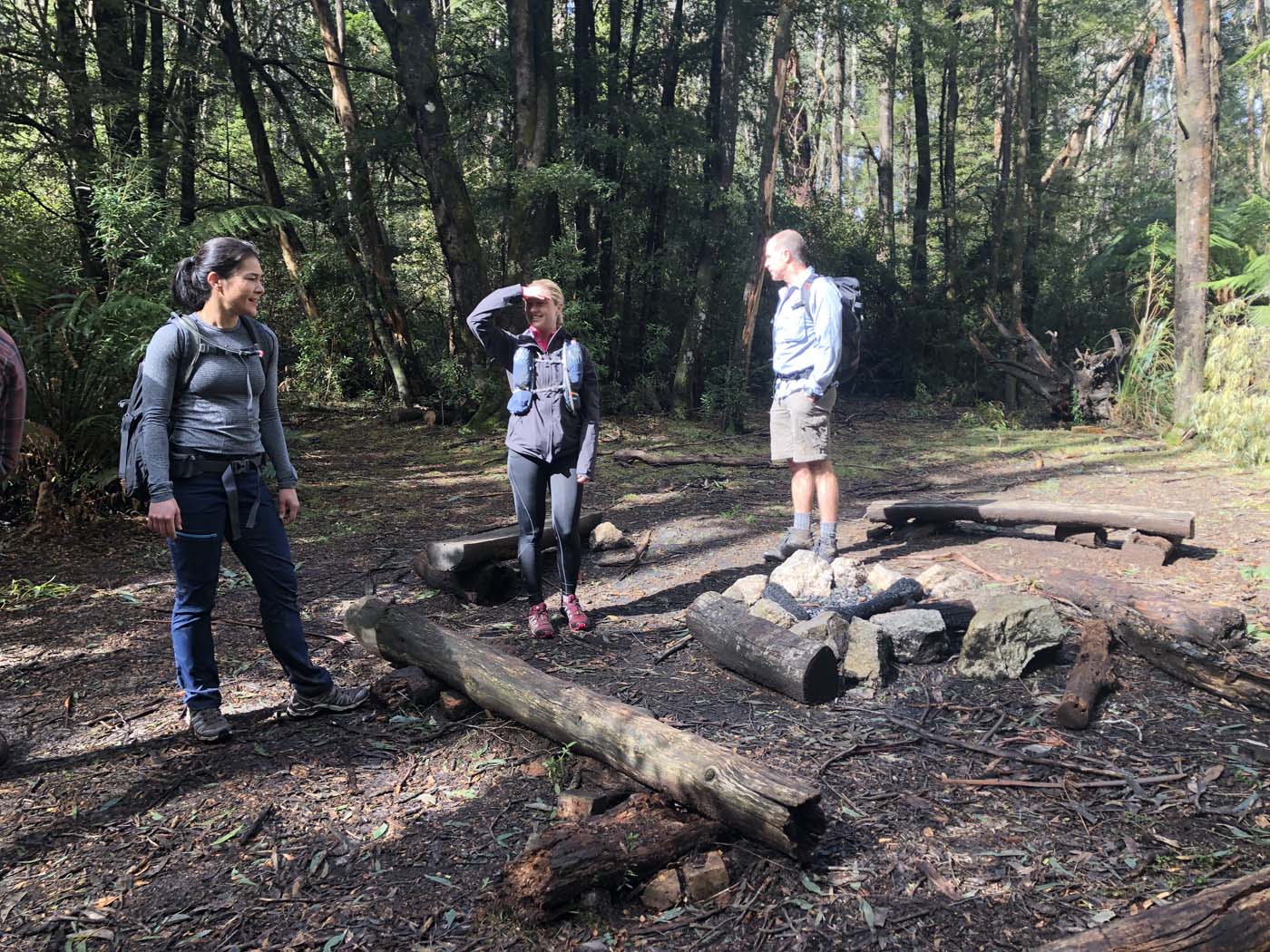 Starling gap ada tree (26)