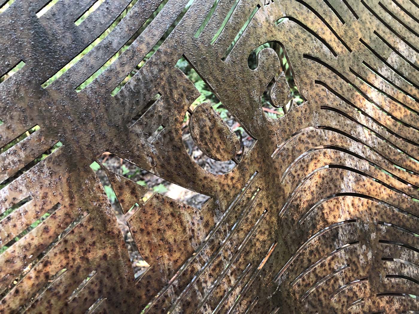 Starling gap ada tree (34)