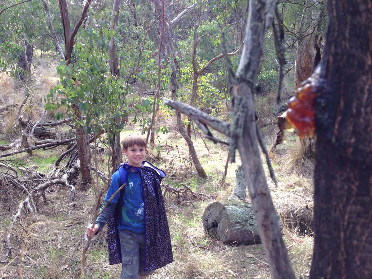 Steiglitz deadmans gully circuit walk 10