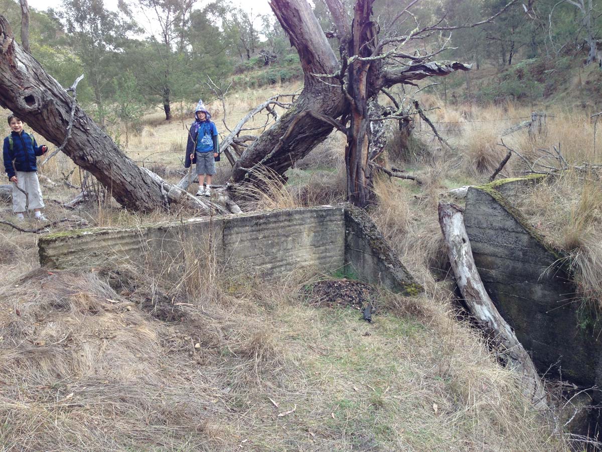 Steiglitz deadmans gully circuit walk 11