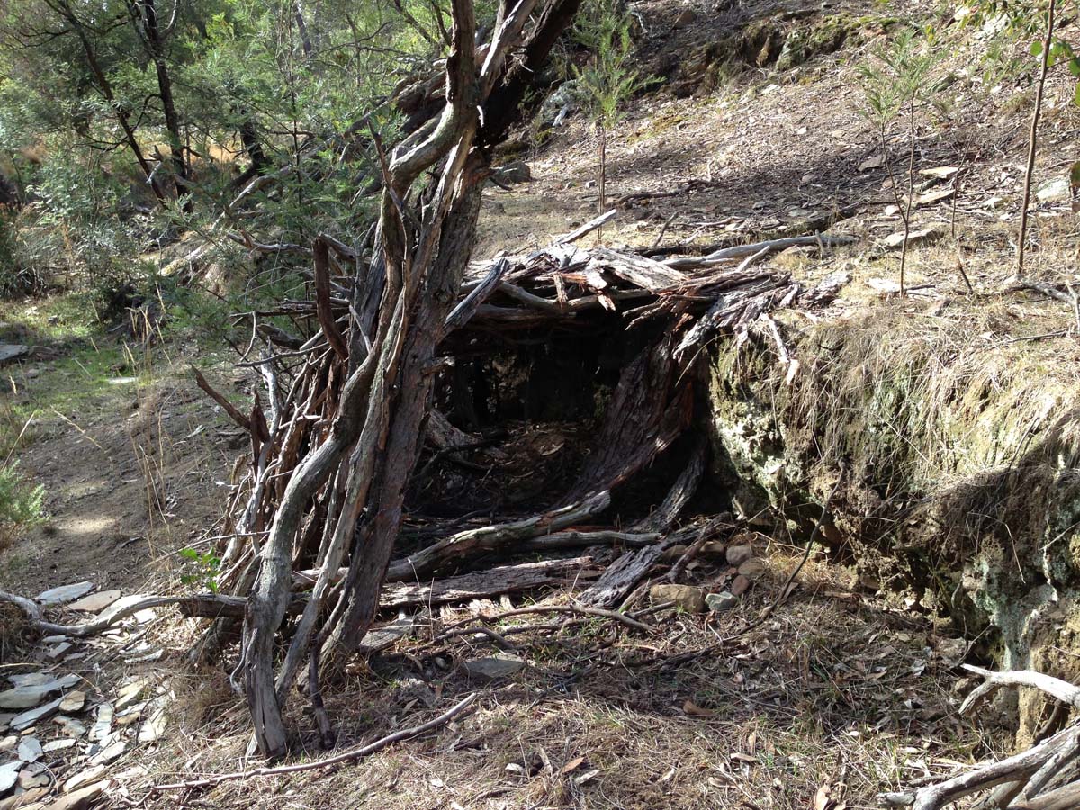 Steiglitz deadmans gully circuit walk 14