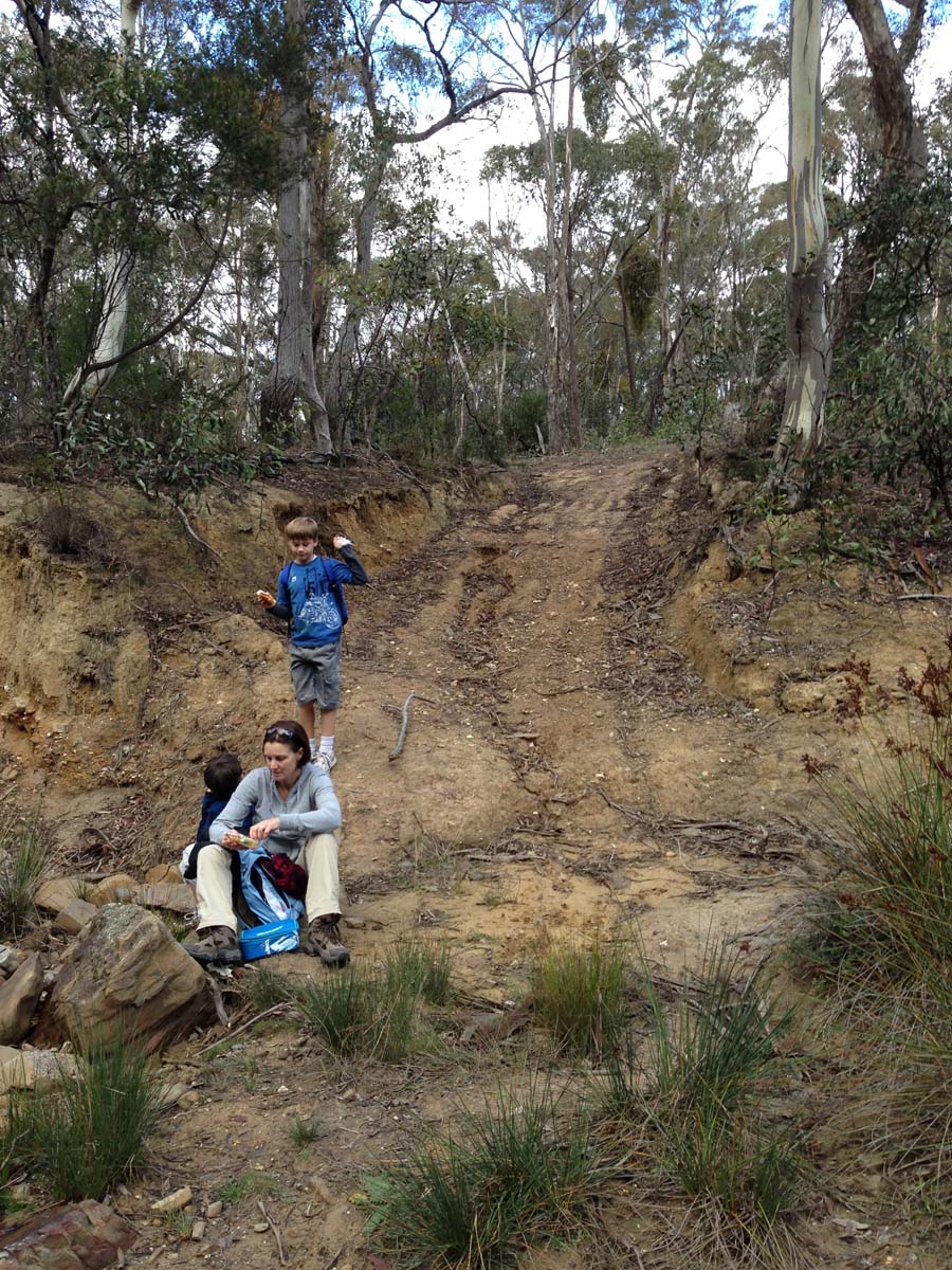 Steiglitz deadmans gully circuit walk 19