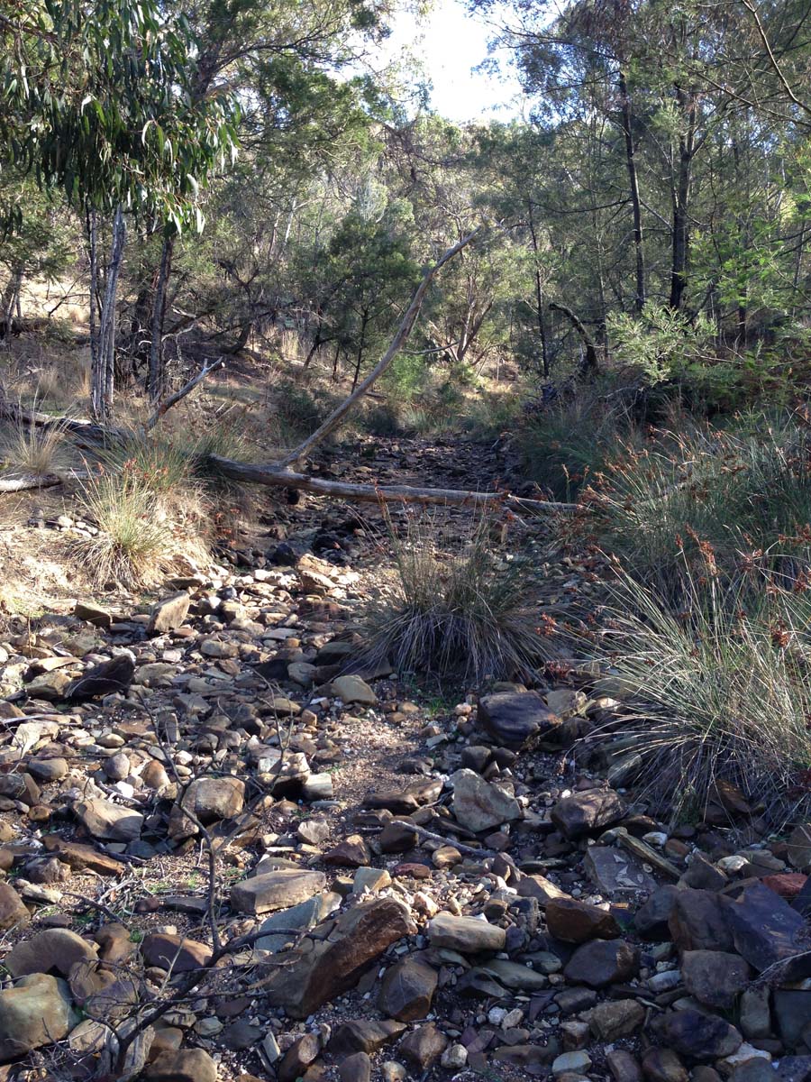 Steiglitz deadmans gully circuit walk 4