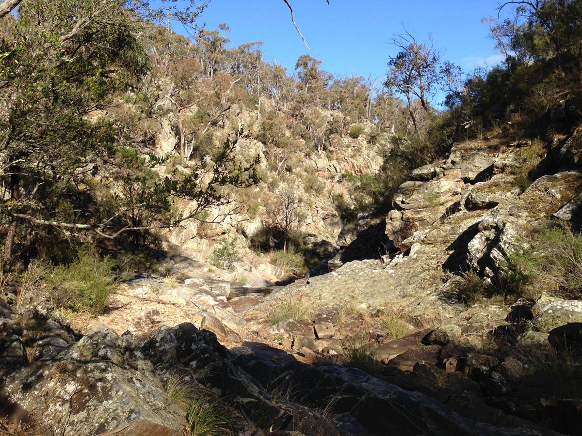Steiglitz deadmans gully circuit walk 7