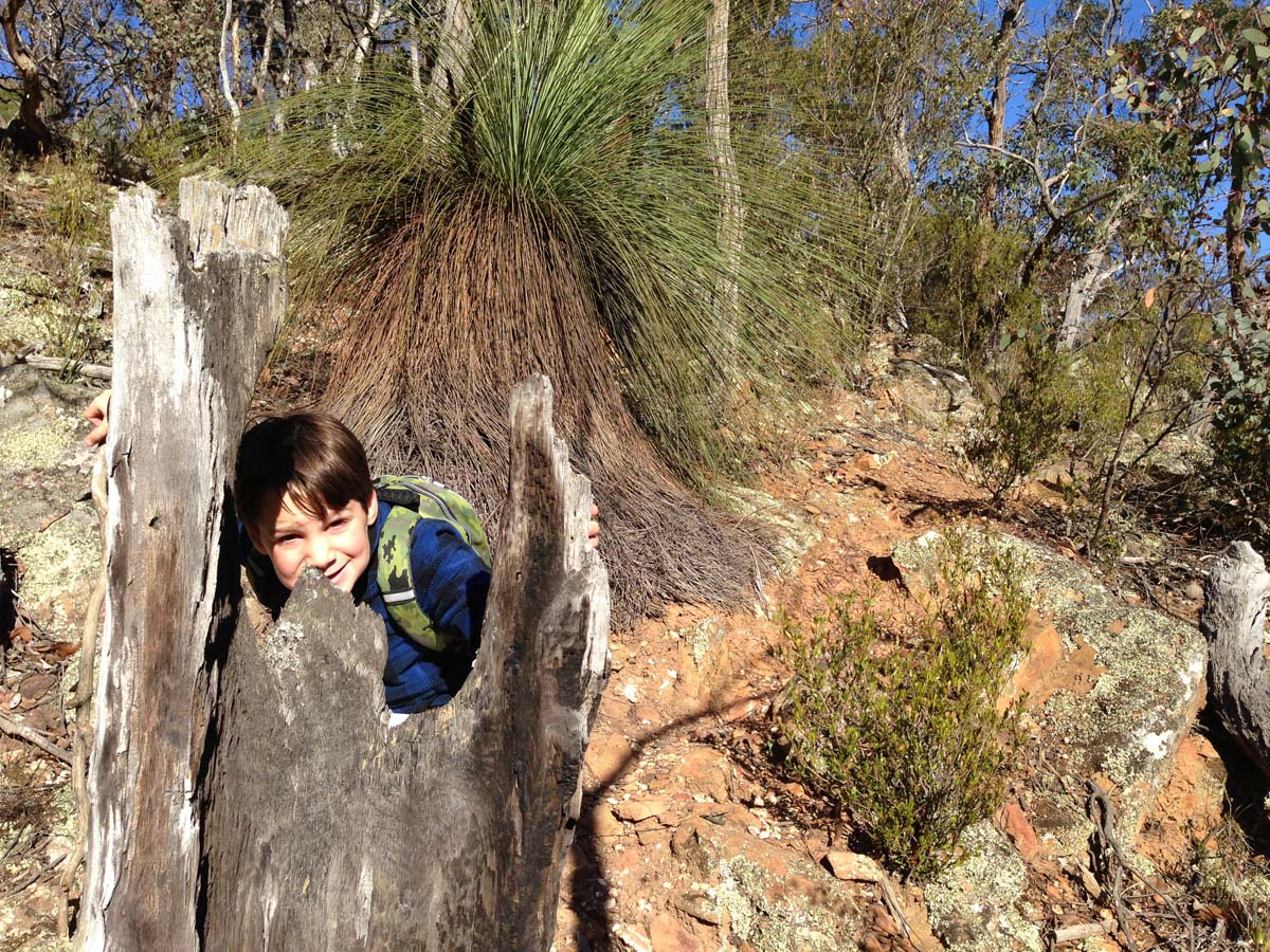Steiglitz deadmans gully circuit walk 8