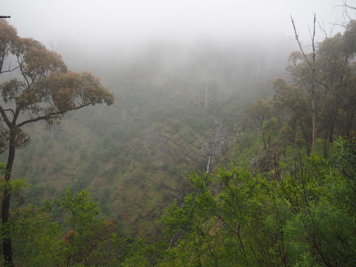 Strath creek & tunnel falls hike 11