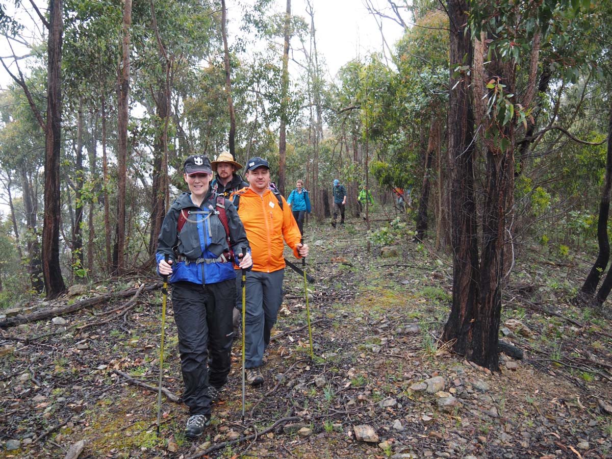 Strath creek & tunnel falls hike 19