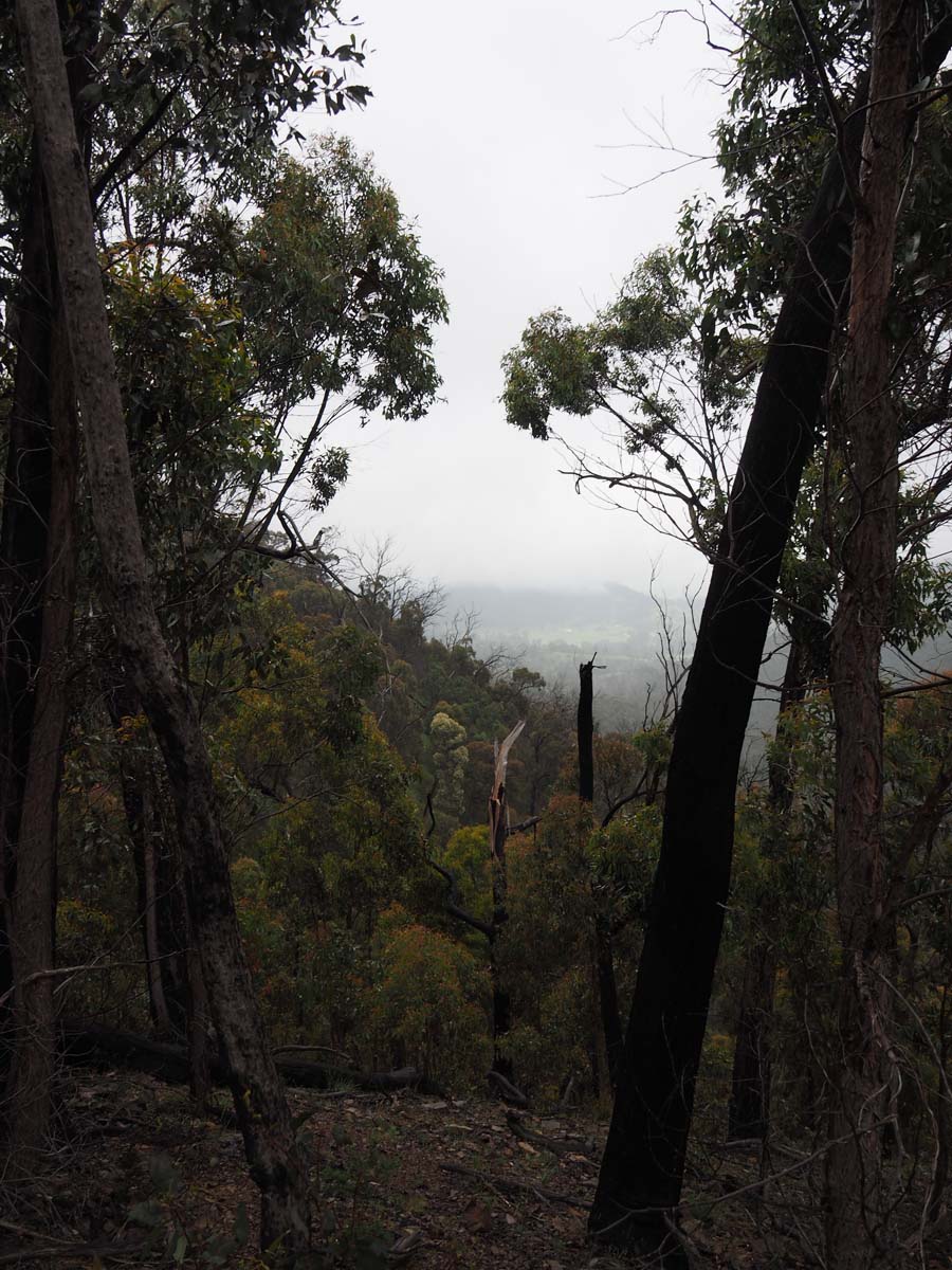 Strath creek & tunnel falls hike 21