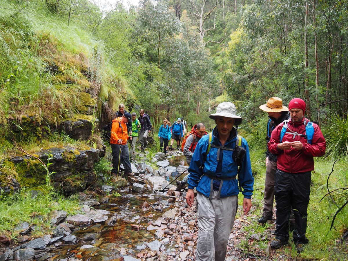 Strath creek & tunnel falls hike 23