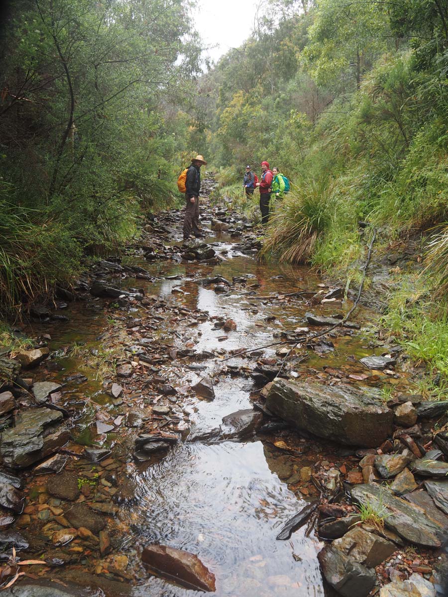 Strath creek & tunnel falls hike 24