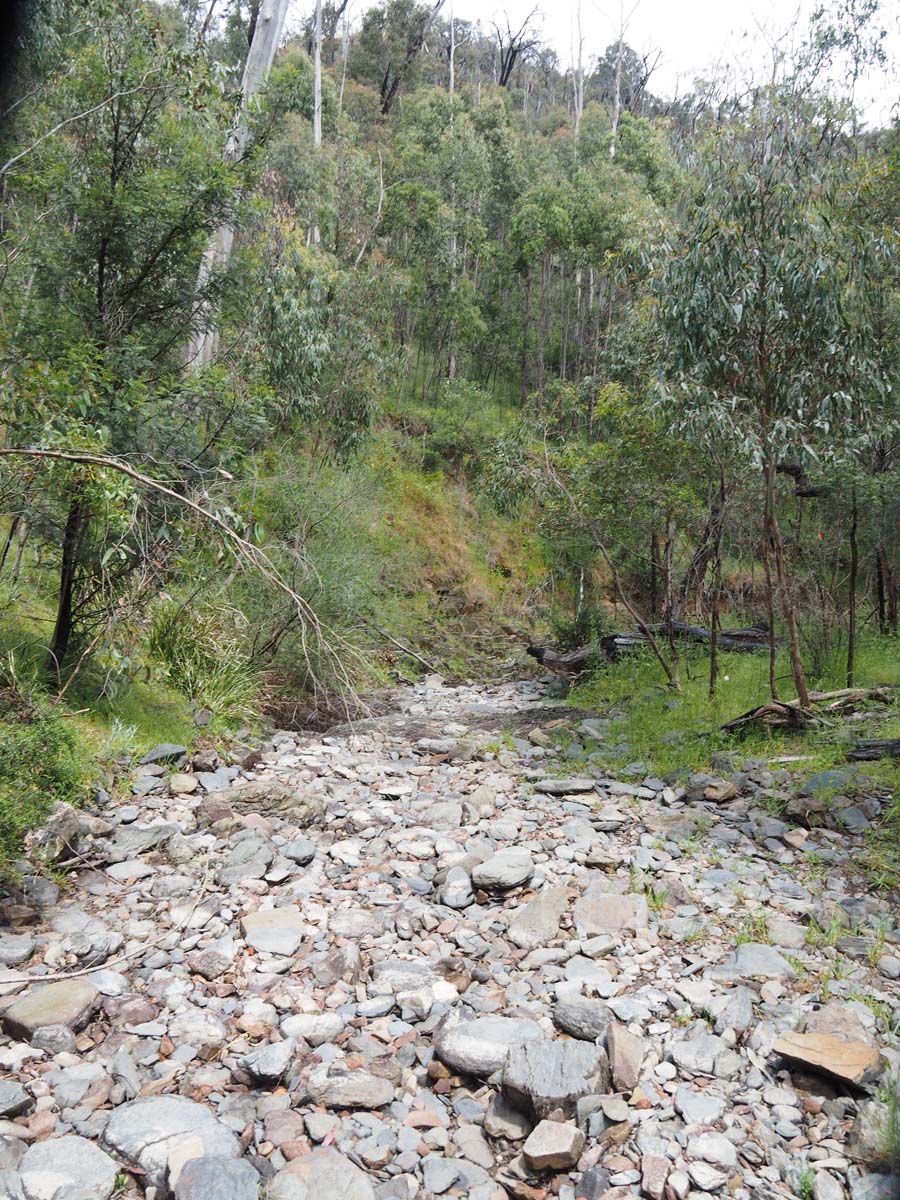 Strath creek & tunnel falls hike 39