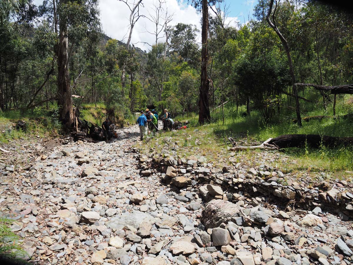 Strath creek & tunnel falls hike 41