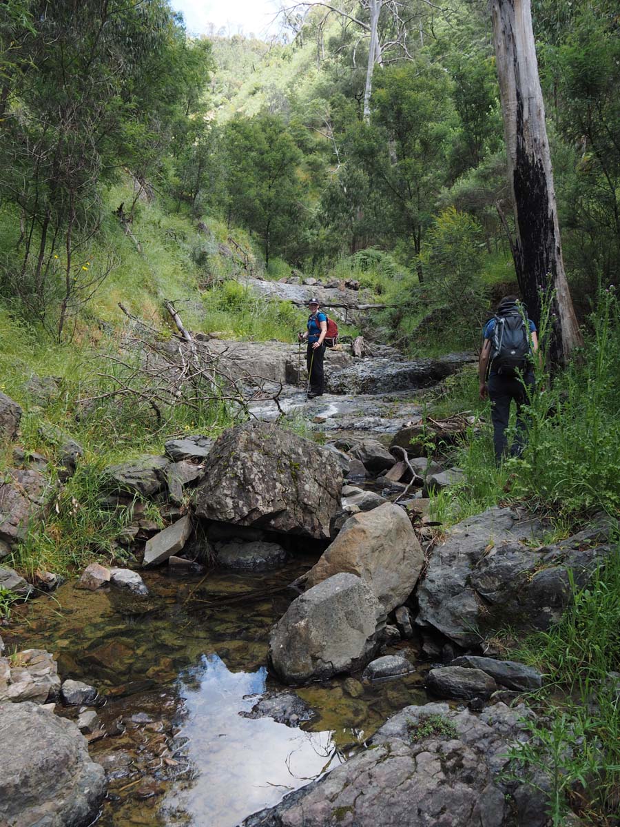 Strath creek & tunnel falls hike 44