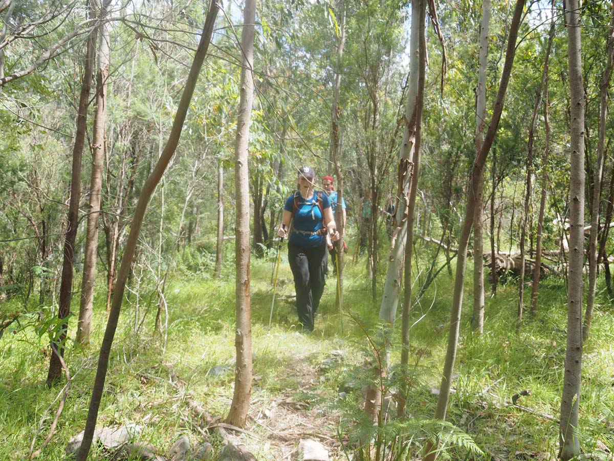 Strath creek & tunnel falls hike 47
