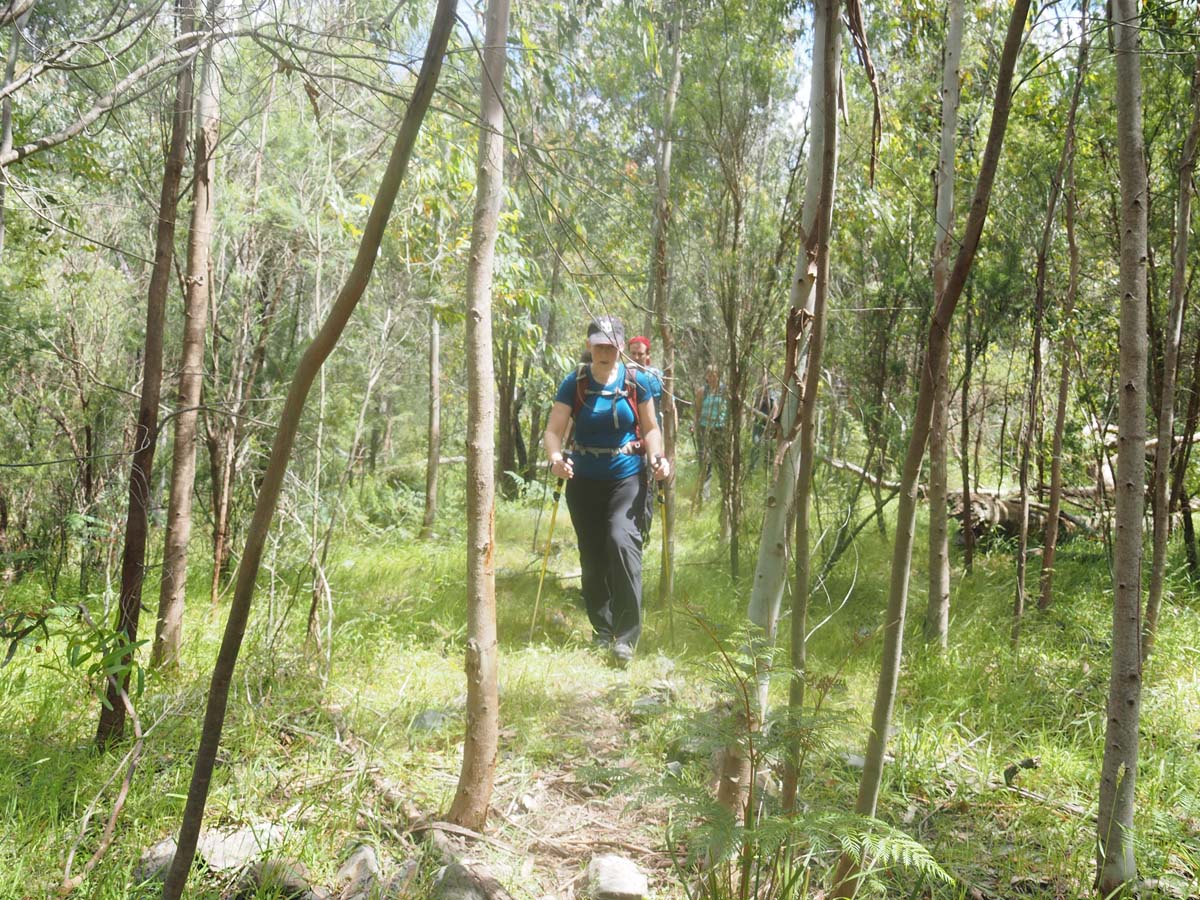 Strath creek & tunnel falls hike 48