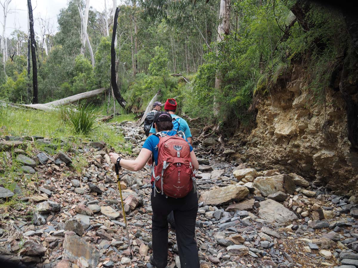 Strath creek & tunnel falls hike 54