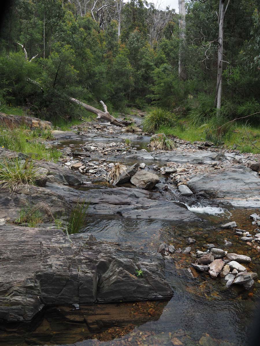 Strath creek & tunnel falls hike 55