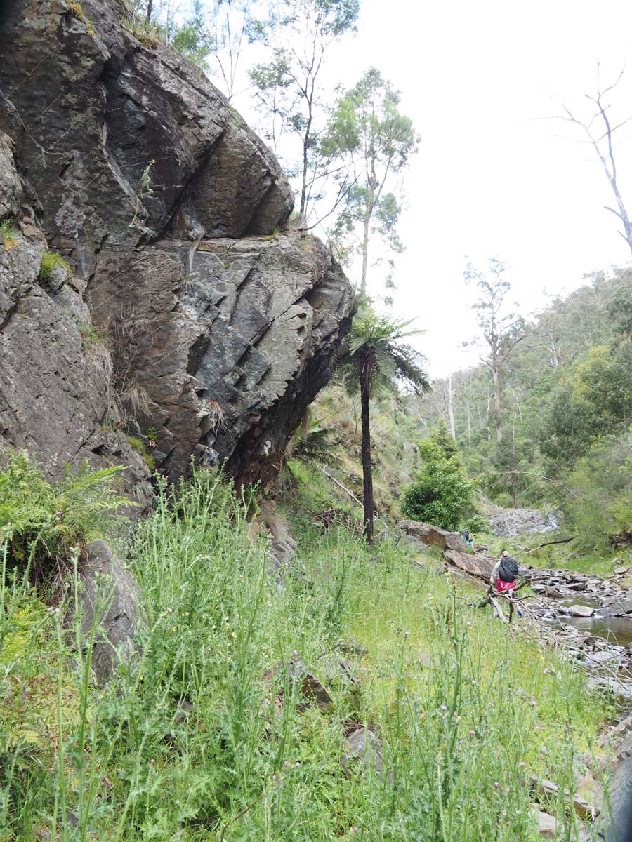 Strath creek & tunnel falls hike 61
