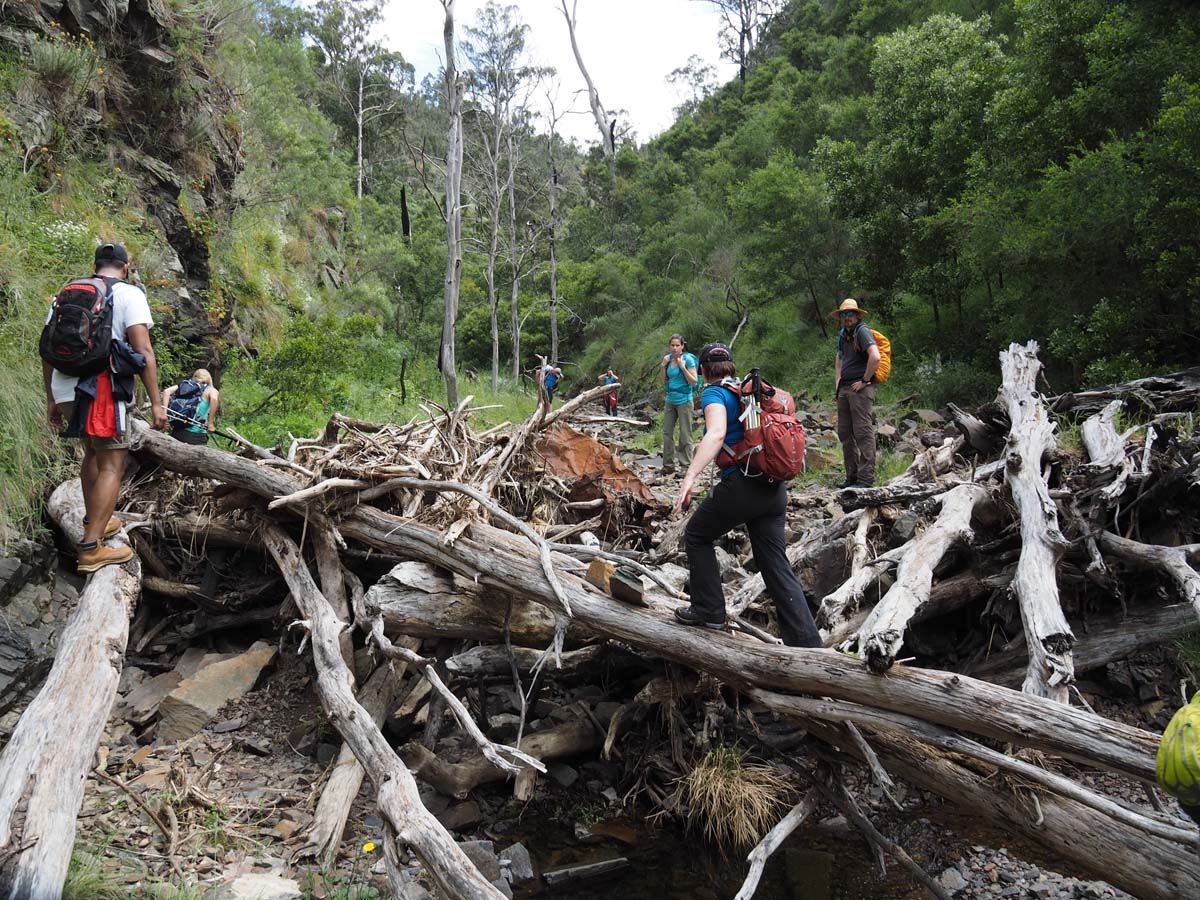 Strath creek & tunnel falls hike 64