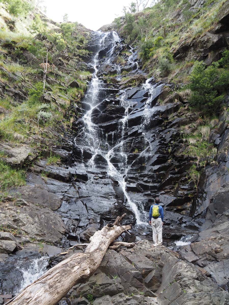 Strath creek & tunnel falls hike 66