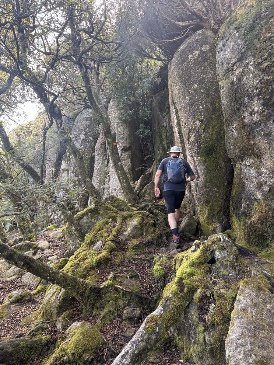 Strzelecki peaks walk flinders island 19