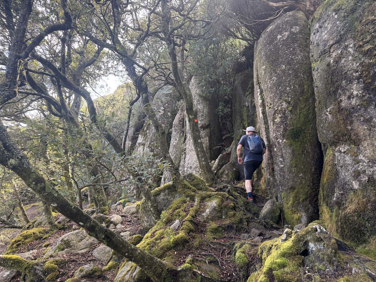 Strzelecki peaks walk flinders island 20