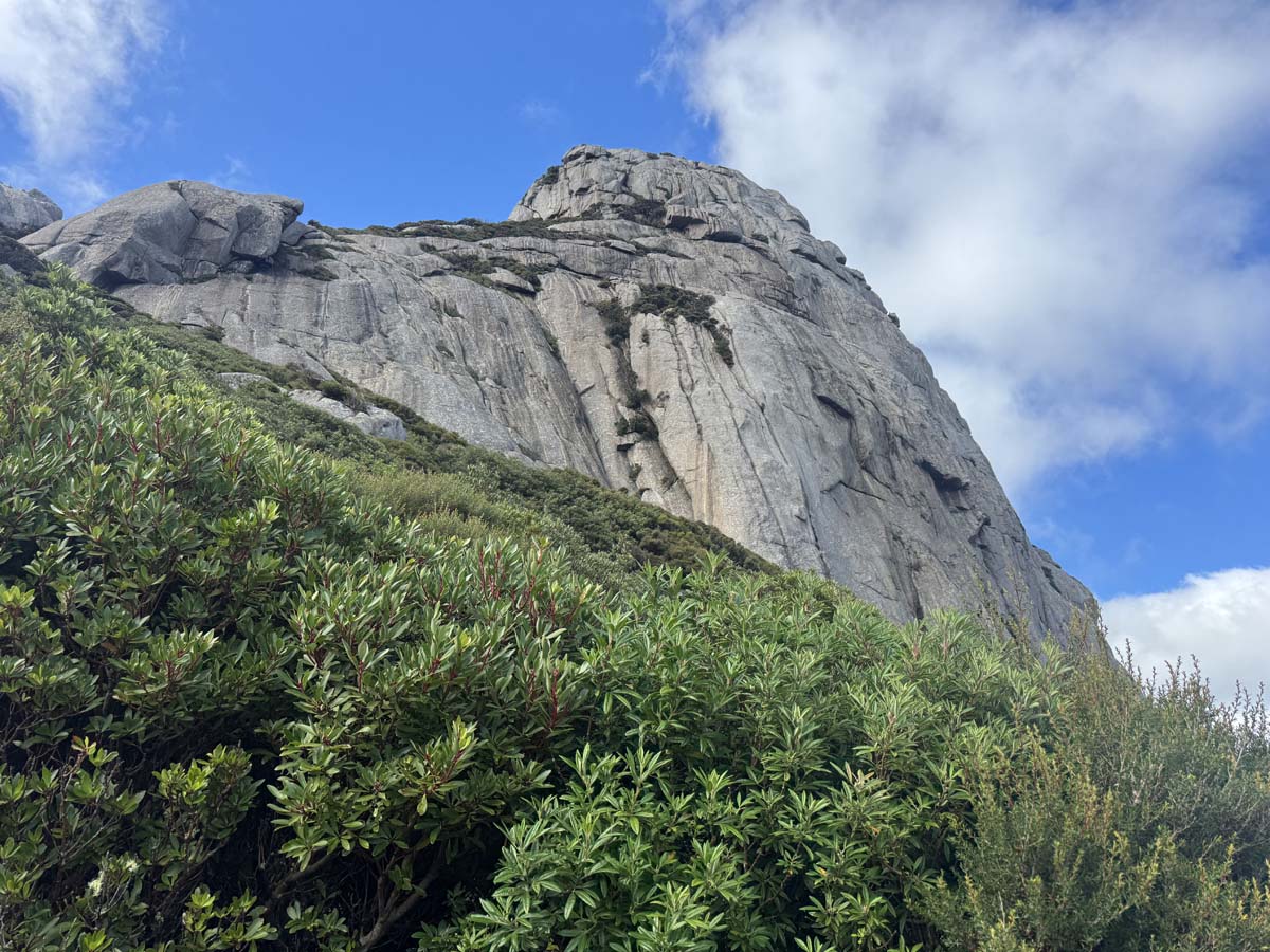Strzelecki peaks walk flinders island 22