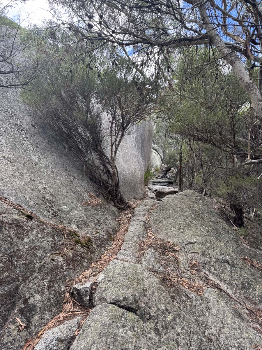Strzelecki peaks walk flinders island 3