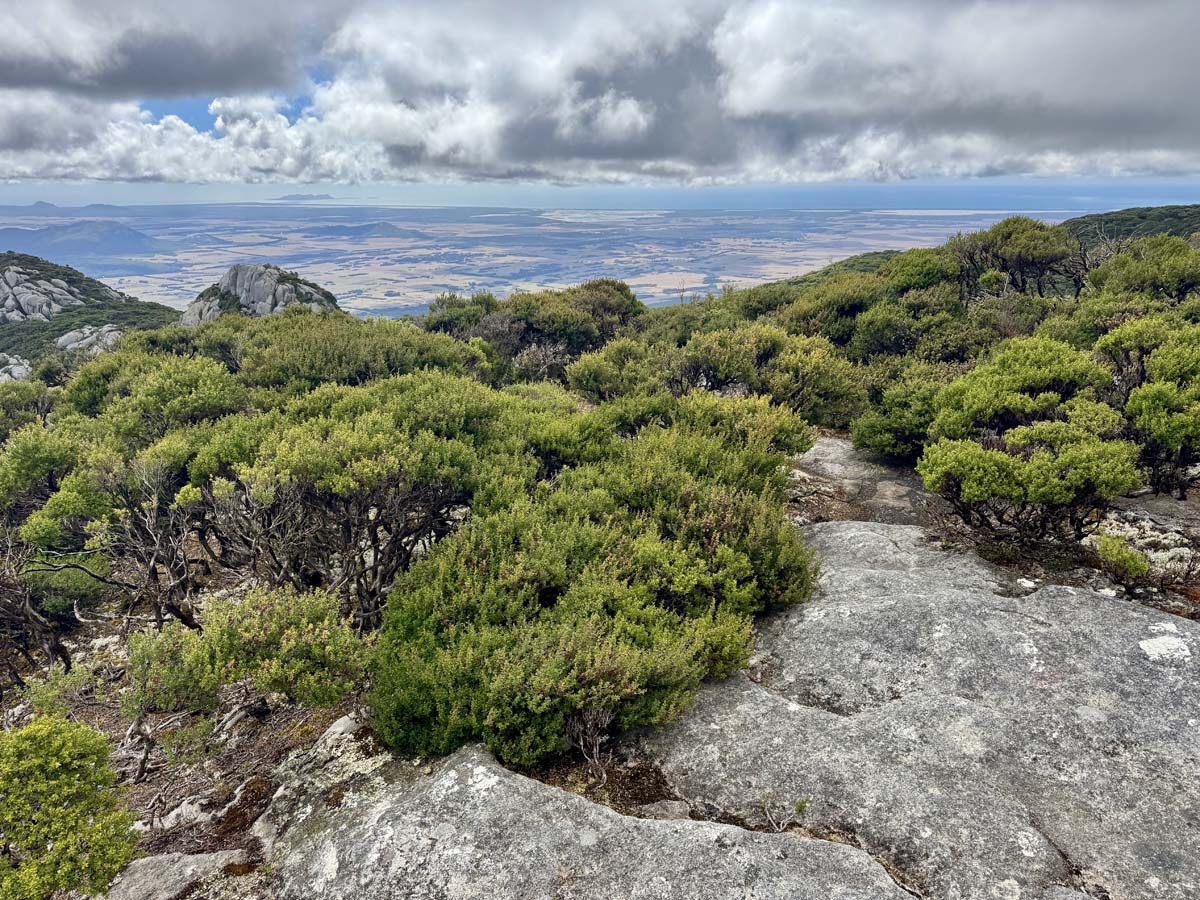 Strzelecki peaks walk flinders island 38