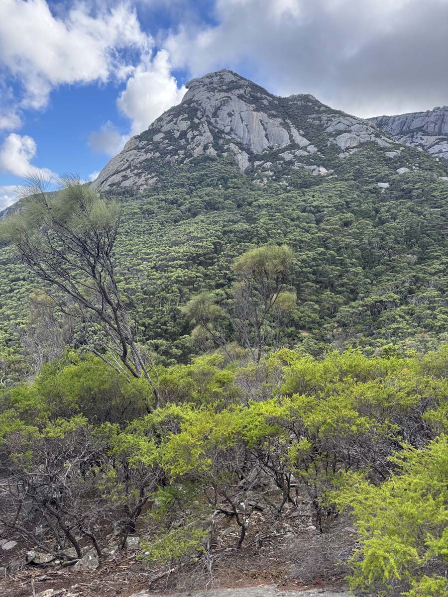Strzelecki peaks walk flinders island 6