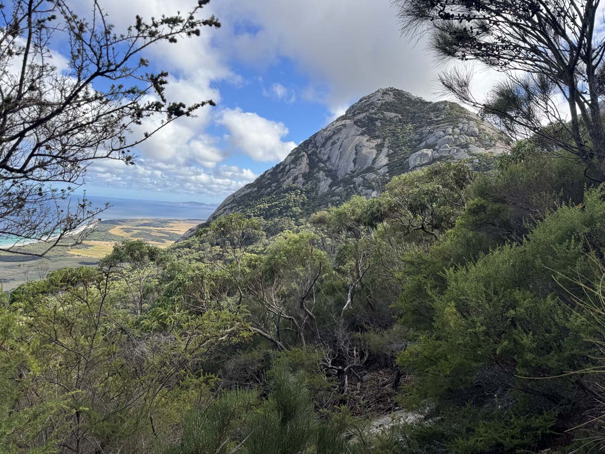 Strzelecki peaks walk flinders island 7