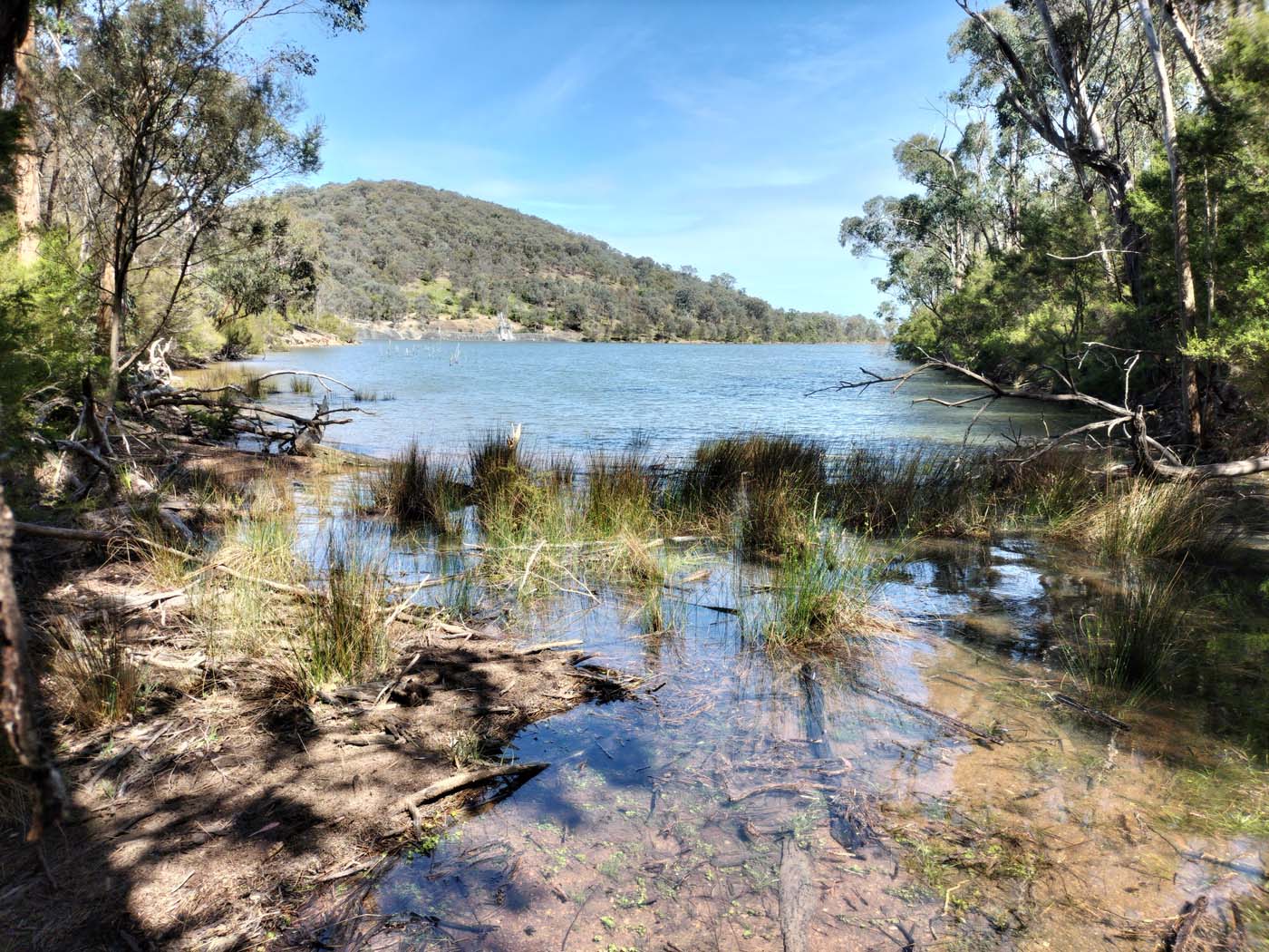 Sugarloaf & christmas hills circuit (3)