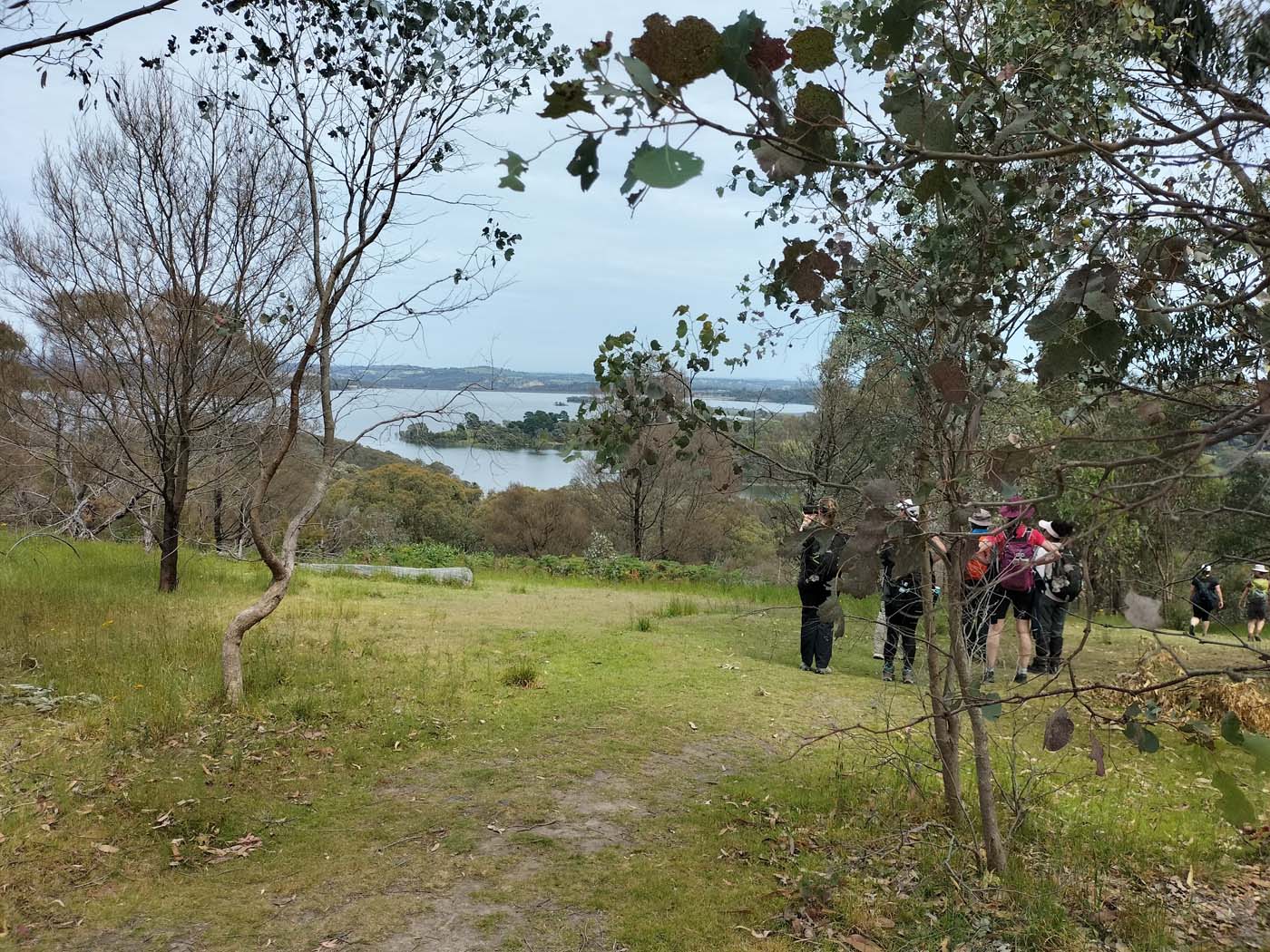 Sugarloaf & christmas hills circuit (5)