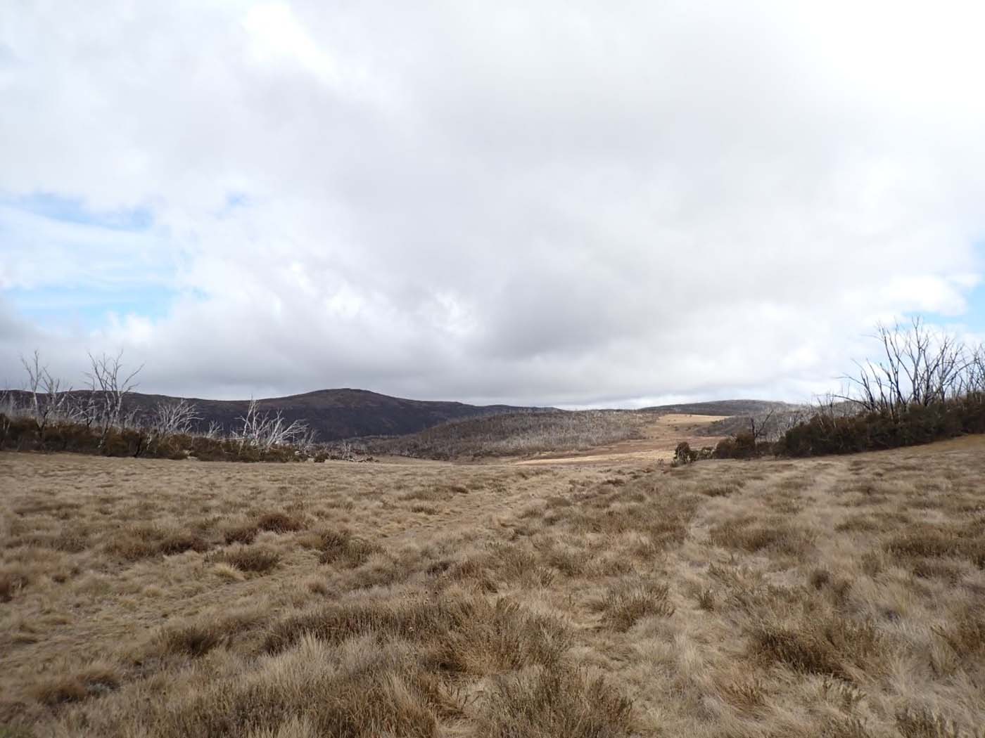 Day 1 wellington plain