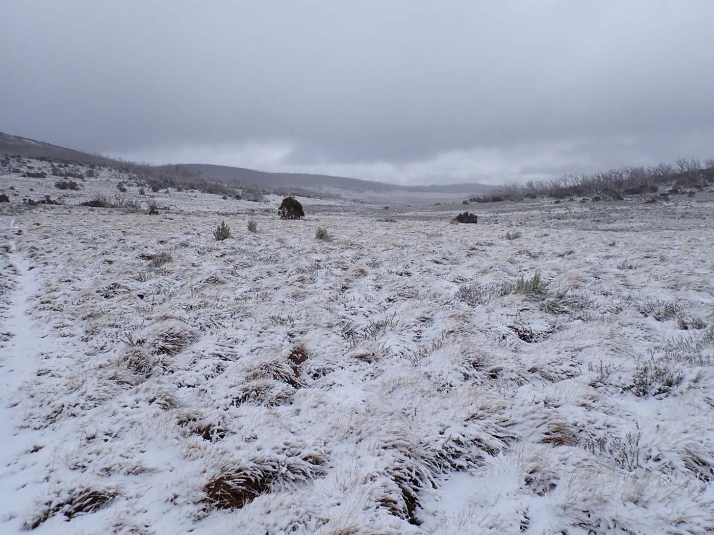Day 5 wellington plain snow early oct