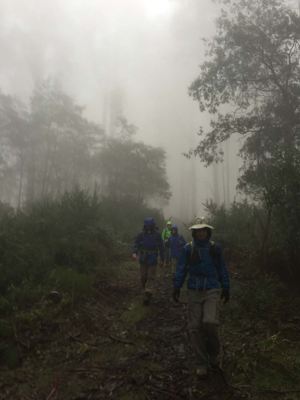 Tanglefoot track & mt st leonards (12)