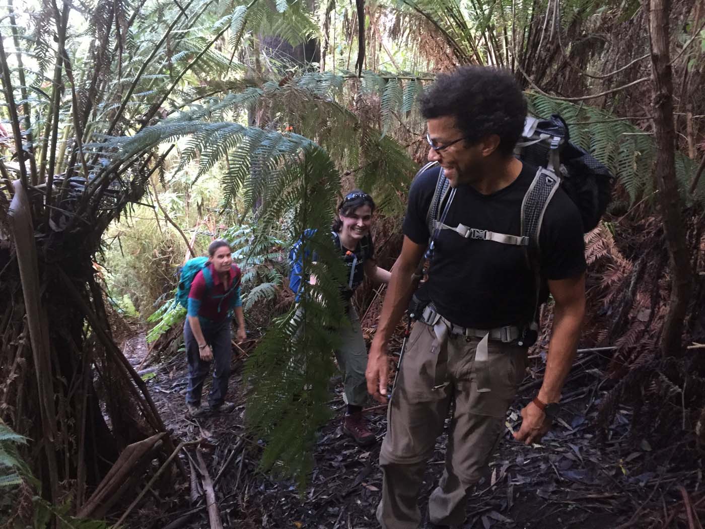 Tanglefoot track & mt st leonards (4)