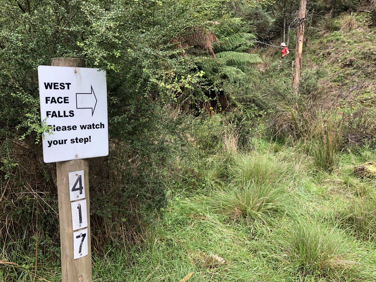 Mount tassie loop 14