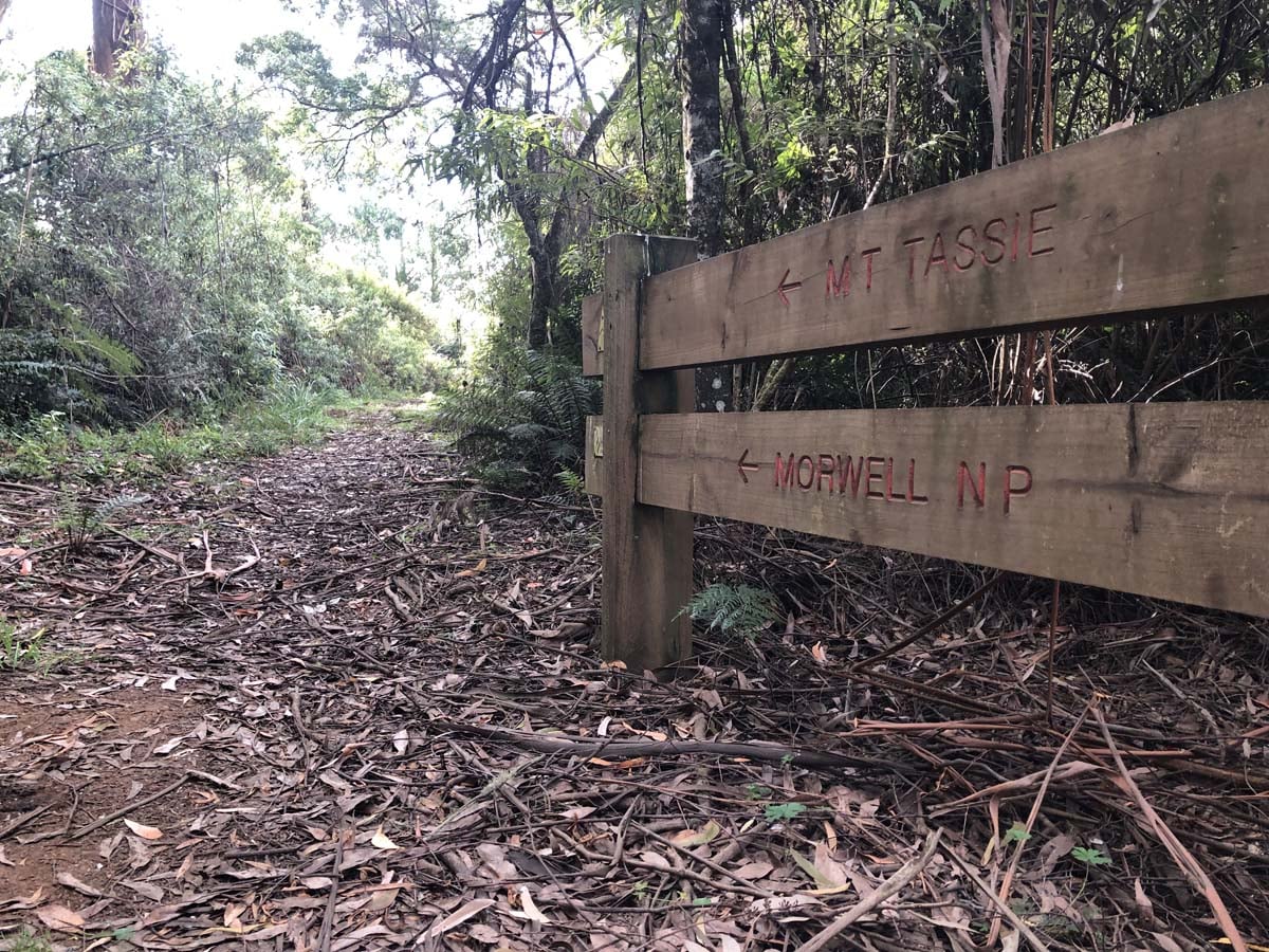 Mount tassie loop 35