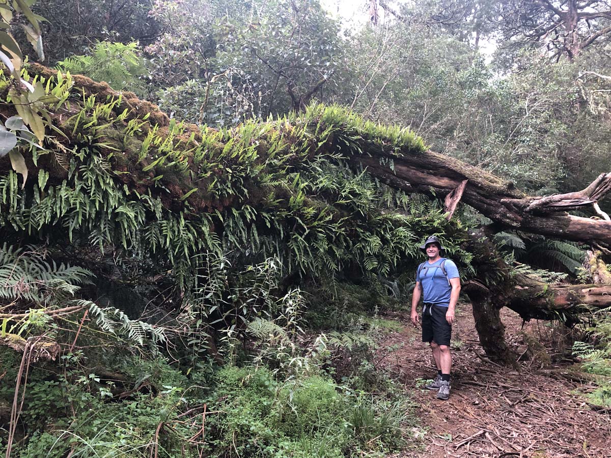 Mount tassie loop 49