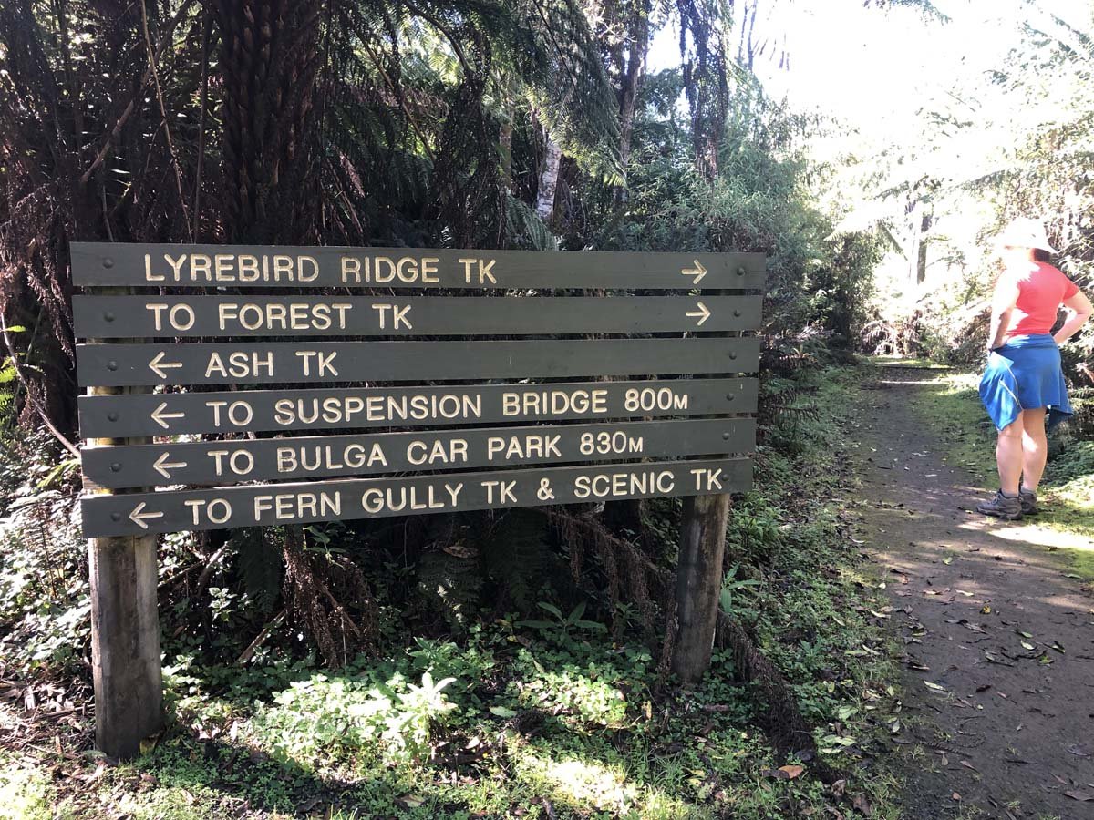 Tarra bulga scenic circuit 15