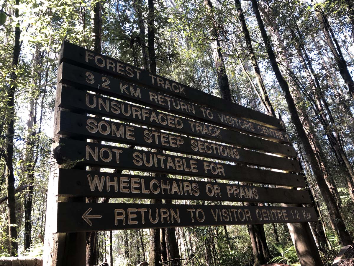 Tarra bulga scenic circuit 16